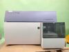 BD FACSCanto II Flow Cytometer