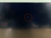 OLYMPUS LED Monitor OEV 262H YOM: 2019 Monitor
