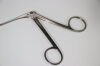 PILLING 50-5113 Sam Roberts Laryngeal Cup Graspers, Straight, 2mm Cup