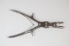 V. MUELLER NL610 Stille-Luer Straight Rongeur Graspers, 10mm