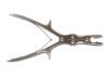 V. MUELLER NL610 Stille-Luer Straight Rongeur Graspers, 10mm