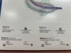 MEDTRONIC IAV09006013P IN.PACT AV Paclitaxel-coated PTA Balloon Catheter
