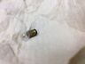HONEYWELL 119580 Lite  for F43 W834B