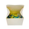 NDC INC REF P211100 Pro Advantage Blunt Dermal Tip, QUANTITY: 100/BOX