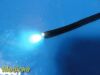 OLYMPUS BF-P20D Bronchoscope