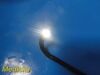OLYMPUS BF-P20D Bronchoscope