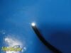 OLYMPUS BF-P20D Bronchoscope