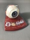 SOMSO SEIT 1876 Cataract Eye Model