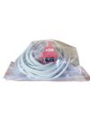 MASIMOSET Masimo Set 3660 RAM Dual cable RC-10 Oximeter - Pulse