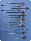 GYRUS CIRCON ACMI Sheath and Obturator Cystoscope