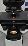 OLYMPUS BX51 Upright Microscope BX51TF w/ 40x &amp; (2) 100x Objectives - 186409 Microscope