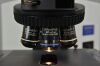OLYMPUS BX51 Upright Microscope BX51TF w/ 40x &amp; (2) 100x Objectives - 186409 Microscope