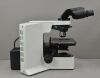 OLYMPUS BX51 Upright Microscope BX51TF w/ 40x &amp; (2) 100x Objectives - 186409 Microscope