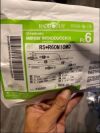 TERUMO RADIFOCUS" INTRODUCER Introducer RS*R6ON1OMO Catheters