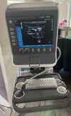 SONOSITE S-Nerve Refurbished  w Cart, L38x Vascular Probe