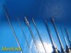 BD V. Mueller Yale Assorted B&L Storz N7574 & N7570 Luer-Lok Tonsil Needle; Reusable