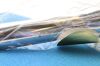 COOPER SURGICAL 64-114R | | EACHES | Vaginal Speculum Pederson Right Side Opening Large