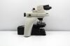 NIKON Ni-U Microscope
