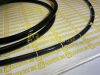 OLYMPUS GIF-HQ290 Gastroscope