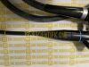 OLYMPUS GIF-P30 Gastroscope