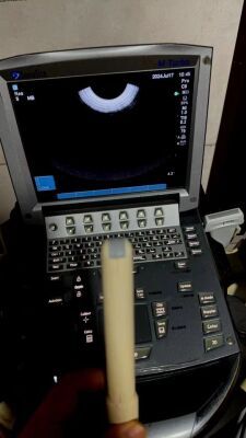 SONOSITE C8E/8-5 Ultrasound Transducer