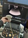 SIEMENS 4V1c Ultrasound Transducer