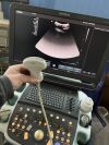 SIEMENS 4C1 Ultrasound Transducer