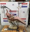 FOREST  EXAM CHAIR