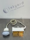 ACUSON/SIEMENS 7CF1 4D Ultrasound Transducer