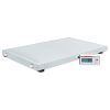 DETECTO VET550 Scale