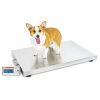 DETECTO VET550 Scale