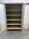 GENERIC Stainless Steel Treatment Cabinet