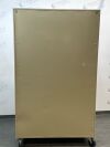 GENERIC Stainless Steel Treatment Cabinet