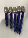 DEPUY SYNTHES 1867-31-735 / 1867-31-740 / 1867-31-745 / 1867-731-750 / 1867-731-755 Viper Expedium VIP7XA / 279731007 Cortical Fix Screw Set