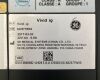 GE HEALTHCARE Vivid Vivid IQ Ultrasound Machine, V202, Preowned