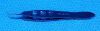 KATENA KT5-5010 Forceps