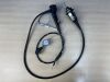 OLYMPUS GIF- HQ190 Endoscope