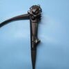 FUJIFILM EG-L600WR7 Endoscope