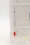 SILK SR-4F21G7D-MP | | EXPIRED | BOX OF 10 | Road Medical Enhance Transcarotid/Peripheral Access Kit 4F