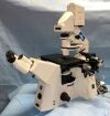 ZEISS Axiovert 200 Microscope