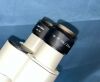 ZEISS Axiovert 200 Microscope
