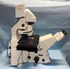 ZEISS Axiovert 200 Microscope