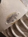 CORRO DUTY Pump Electric Motor 256LP, TVCEO9, 3510, 5212-H, 671361/Y11Y2850219F .