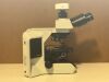 OLYMPUS BX43 Microscope
