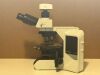 OLYMPUS BX43 Microscope