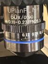 OLYMPUS BX43 Microscope