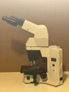 OLYMPUS BX45 Microscope