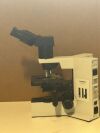 OLYMPUS BX40 Microscope