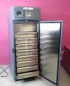 HELMER -46C Upright 25.2 cu/ft Lab Plasma Freezer Refrigerator Freezer