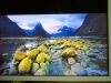 BARCO 58" 4k UHD LED Surgical Imaging Display Monitor Carrot MDSC-8258 Medical Surgical Imaging 58" Display Monitor 4K UHD LED